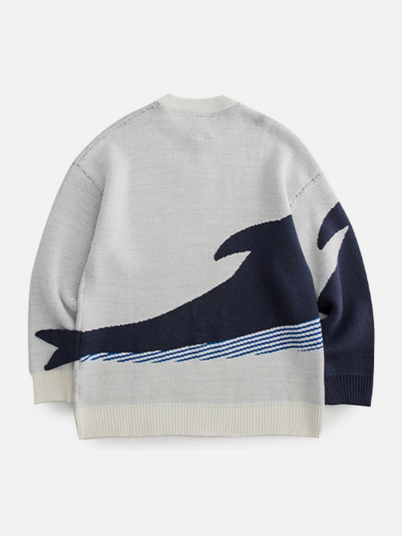 Blanche  Chandails Aelfric Eden The Loneliest Whale Knit - IVJ-4389252